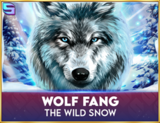 Wolf Fang The Wild Snow